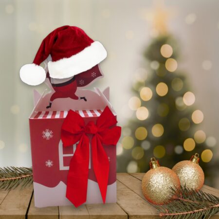 Gift Boxes - Merry Christmas